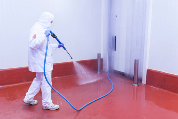 Best Rust Removal  in Hardinsburg, KY